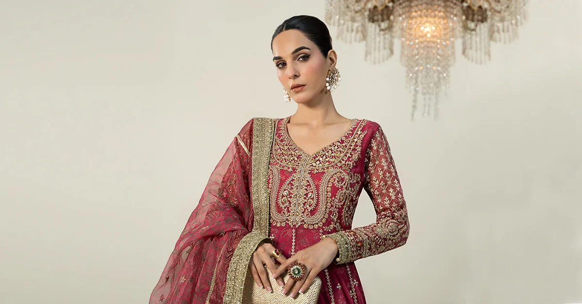 3 Piece Embroidered Net Suit | SF-W24-13