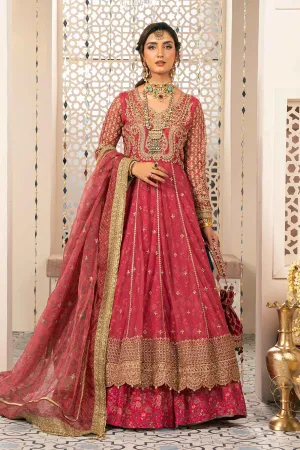 3 Piece Embroidered Net Suit | SF-W24-13